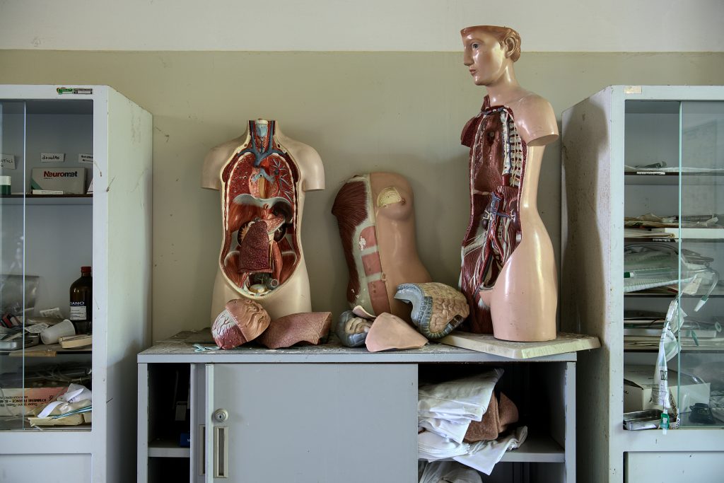3 mannequins anatomiques sur une armoire, deux dont les organes vitaux sont visible, et un, au milieux, ou on voit les couches des muscles du ventre et pectoraux. Entre les mannequins, il y a un cerveaux et des intestins en plastique posés sur l'armoire.
